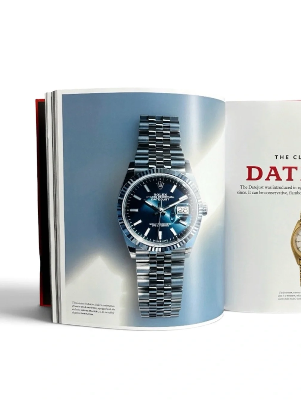 Rolex this new
